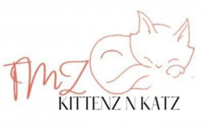 TMZ Kittenz N Katz - Cat Breeder in Gainesville, Georgia